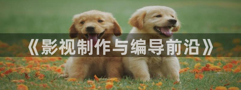 yy6080新视觉免费影院