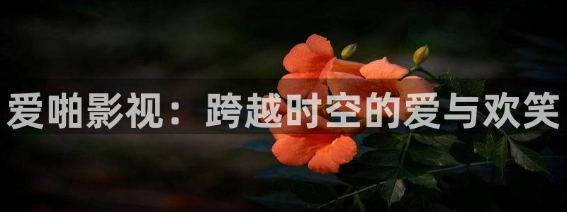 丫丫6080新视觉影院