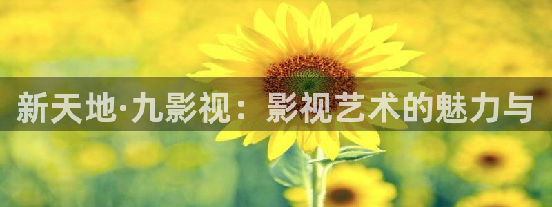 新视觉影院yy6080午夜