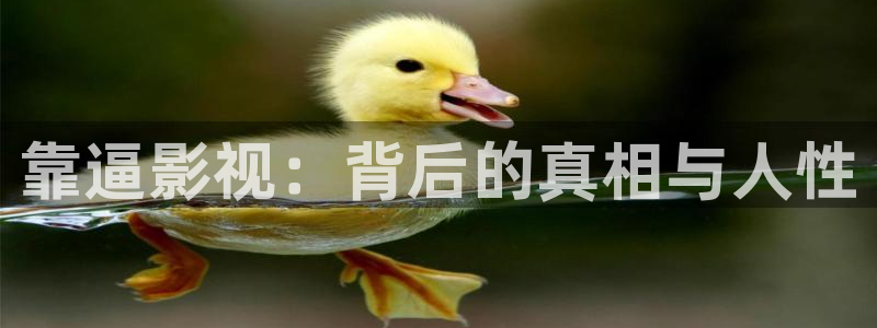 新视觉yy6080私人影院