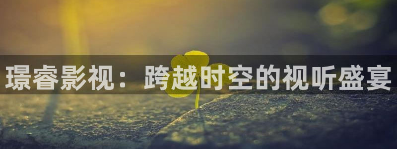 6080新视觉免费网站