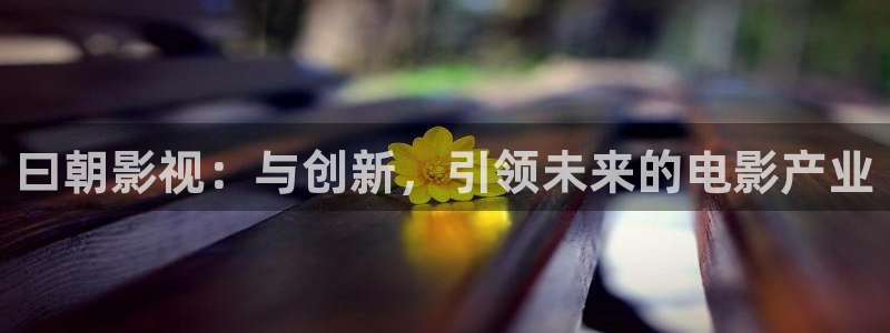 yy6080新视觉影视大全网