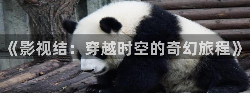 yy6080 新视觉影院